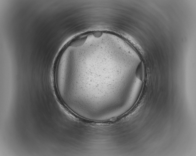 X0000111870942200908061251