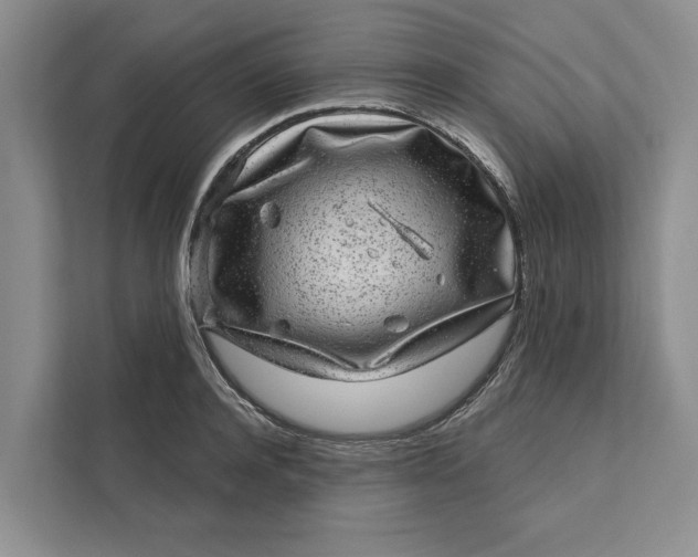 X0000111870944200908061251