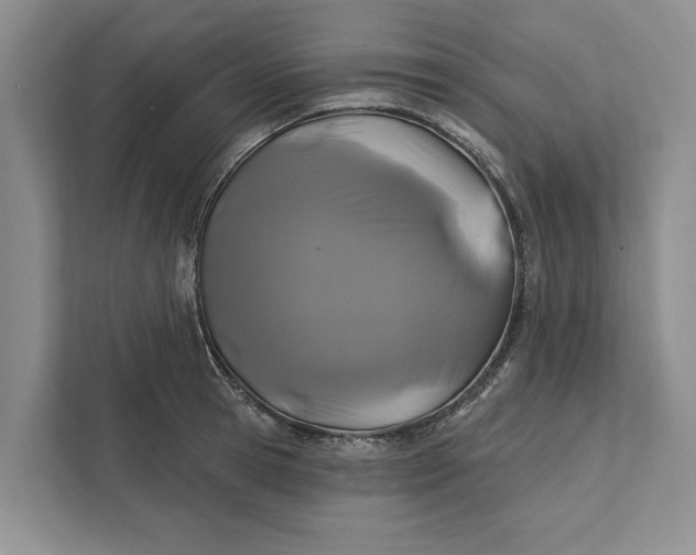 X0000111870945200908061251