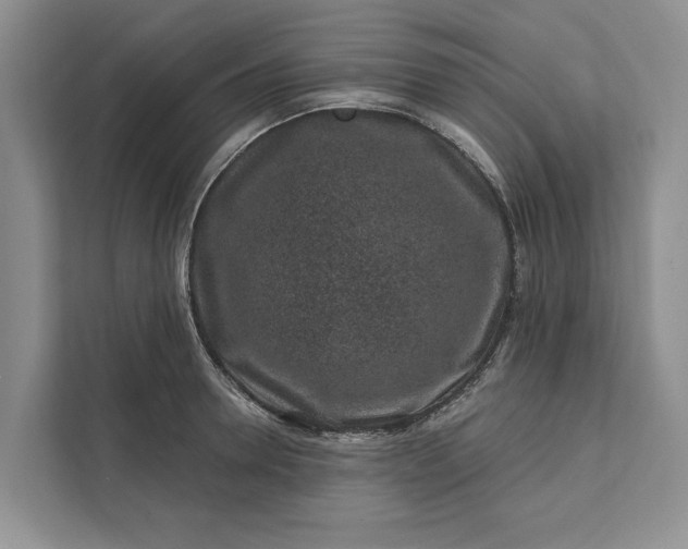 X0000111870946200908061251