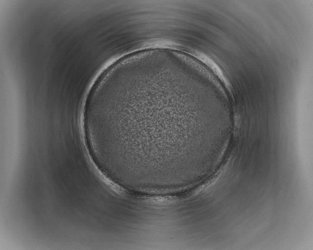 X0000111870947200908061251