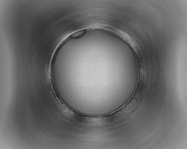 X0000111870948200908061251