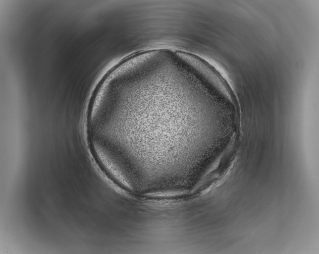 X0000111870949200908061251