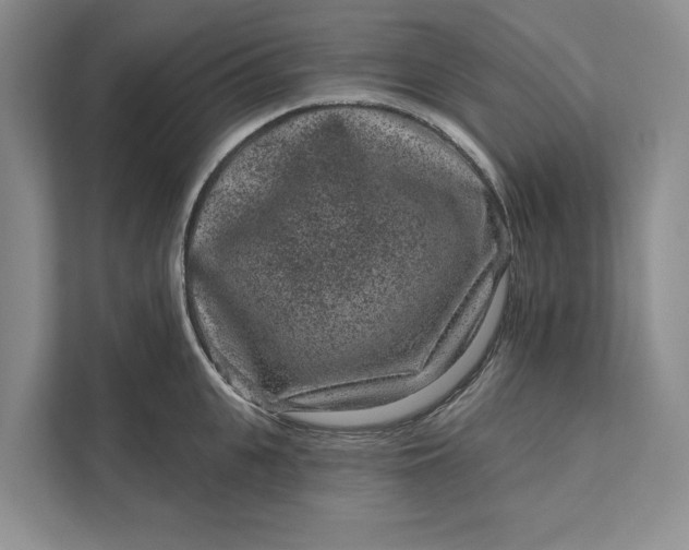 X0000111870951200908061251