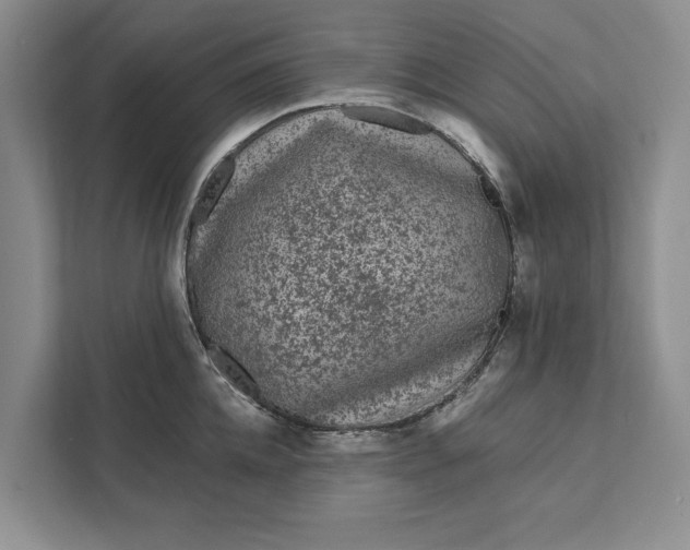 X0000111870952200908061251