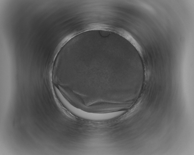 X0000111870954200908061251