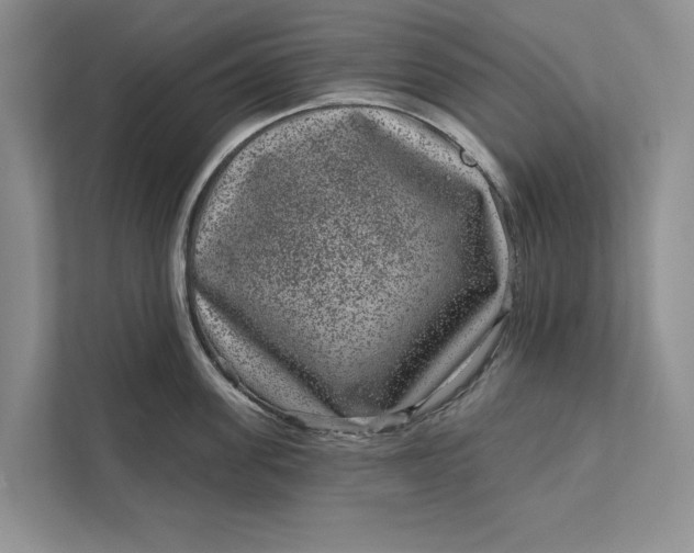 X0000111870955200908061251