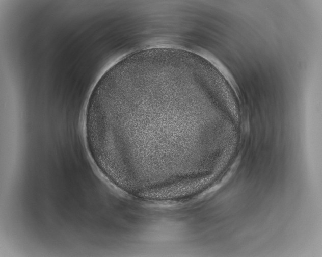 X0000111870957200908061251