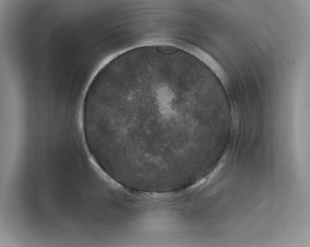 X0000111870958200908061251