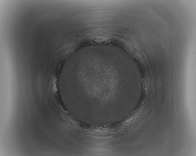 X0000111870962200908061251