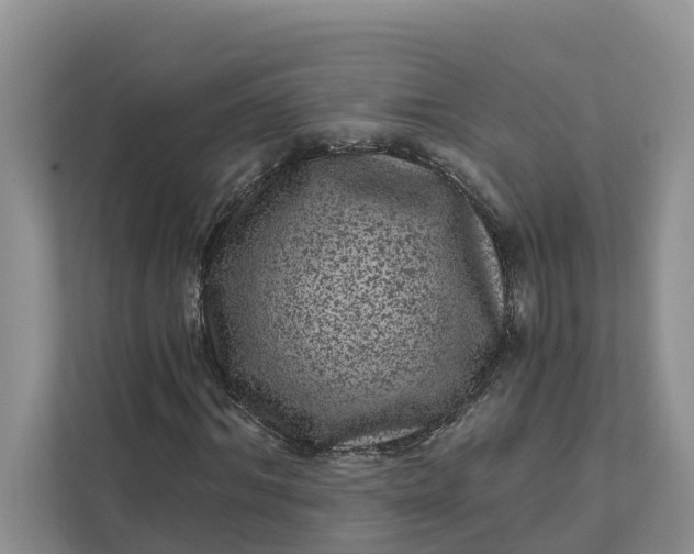 X0000111870964200908061251