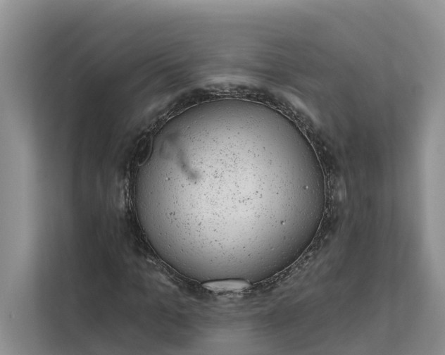 X0000111870965200908061251