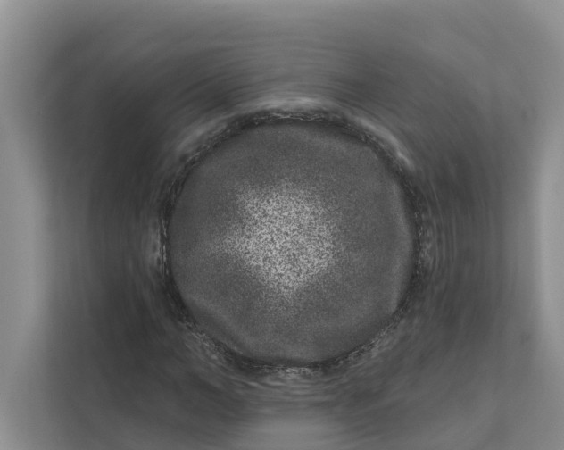 X0000111870966200908061251