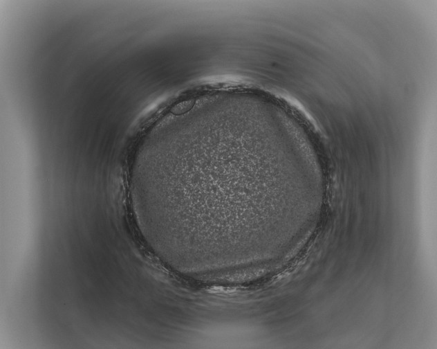 X0000111870967200908061250