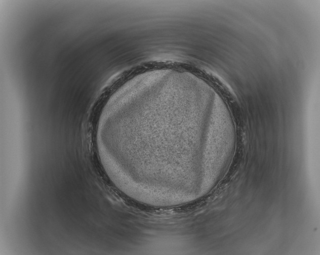 X0000111870968200908061250