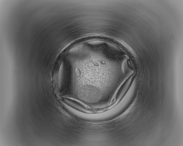 X0000111870969200908061250