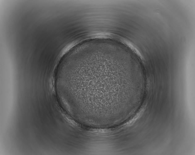 X0000111870970200908061250