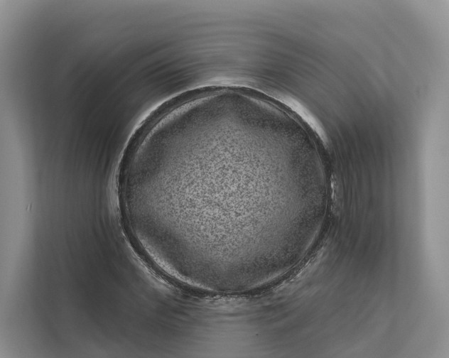 X0000111870972200908061250