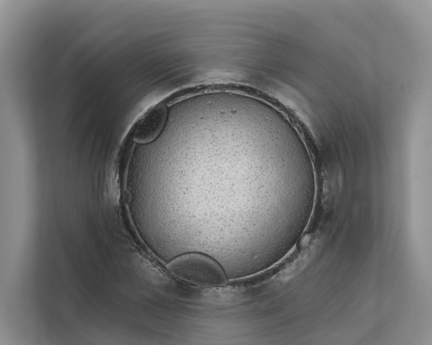 X0000111870973200908061250