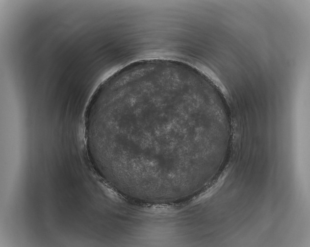 X0000111870974200908061250