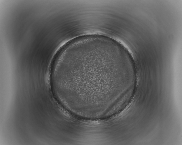 X0000111870975200908061250