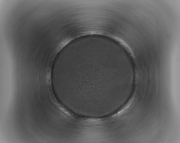 X0000111870977200908061250