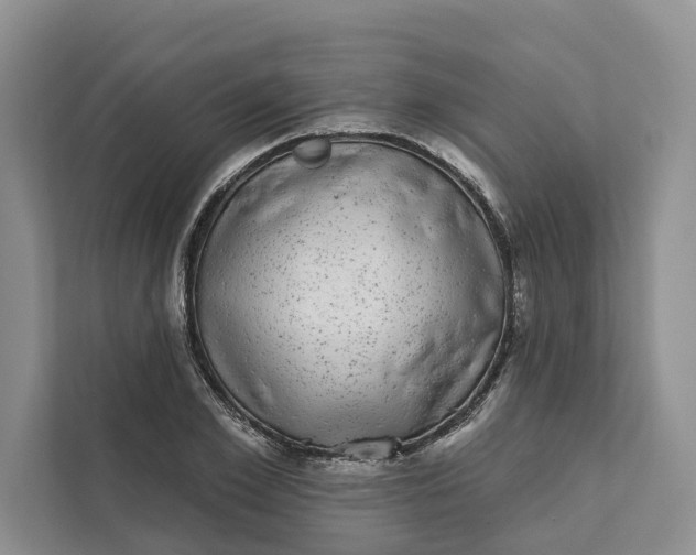 X0000111870981200908061250