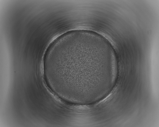 X0000111870982200908061250