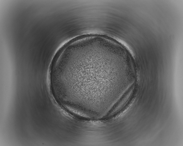 X0000111870983200908061250