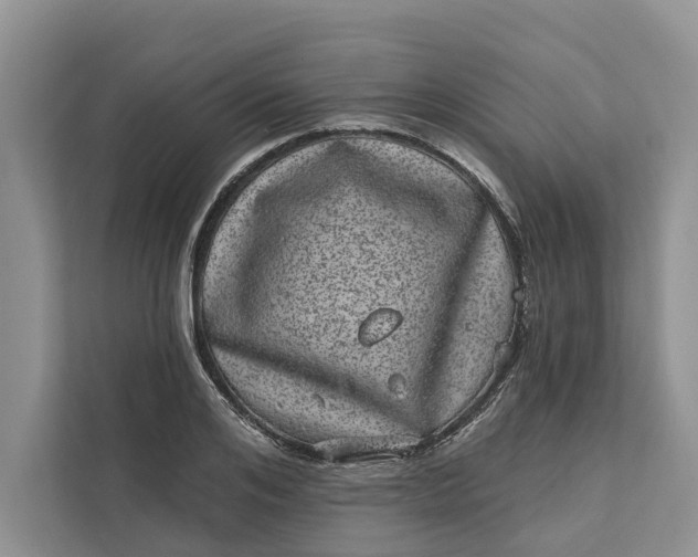 X0000111870984200908061250