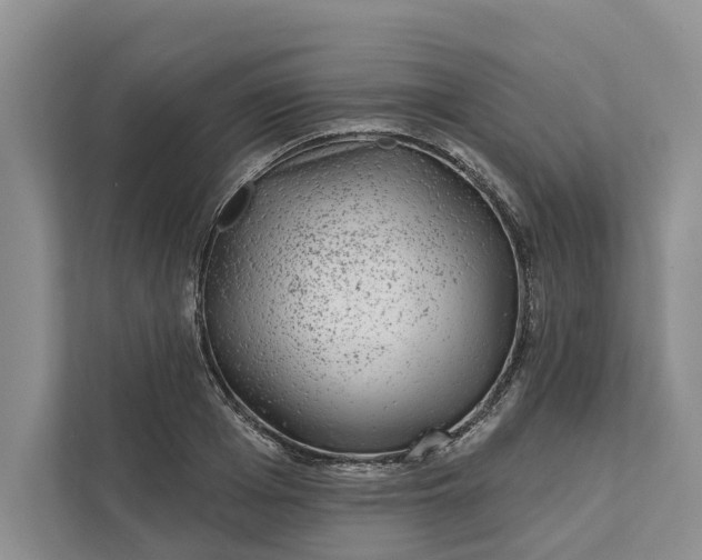 X0000111870985200908061250