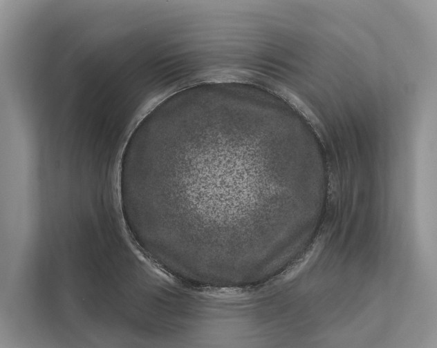 X0000111870986200908061250