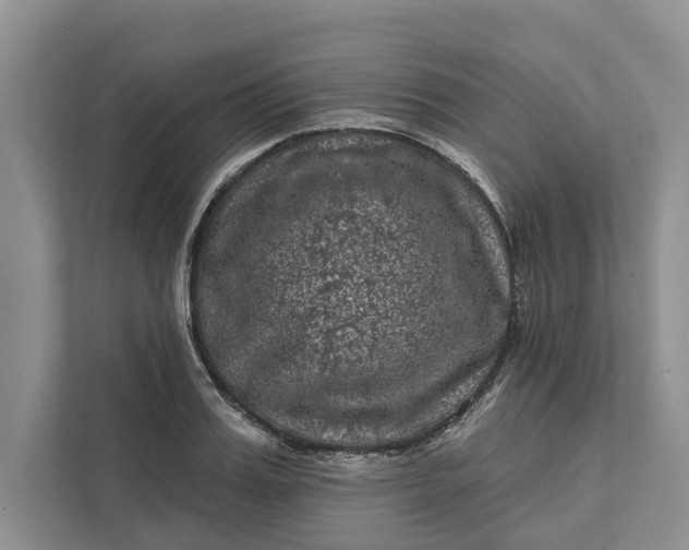 X0000111870987200908061250