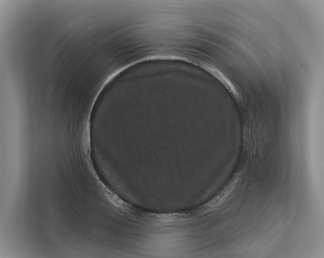 X0000111870988200908061250