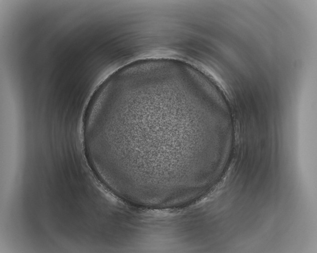 X0000111870990200908061250