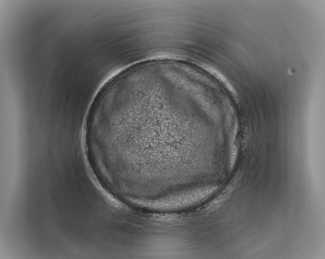 X0000111870991200908061250