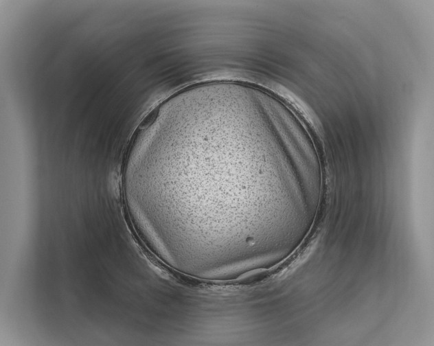 X0000111870993200908061250