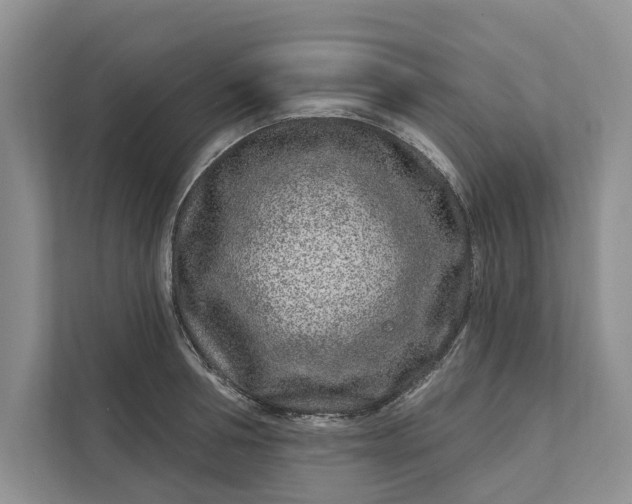 X0000111870994200908061250