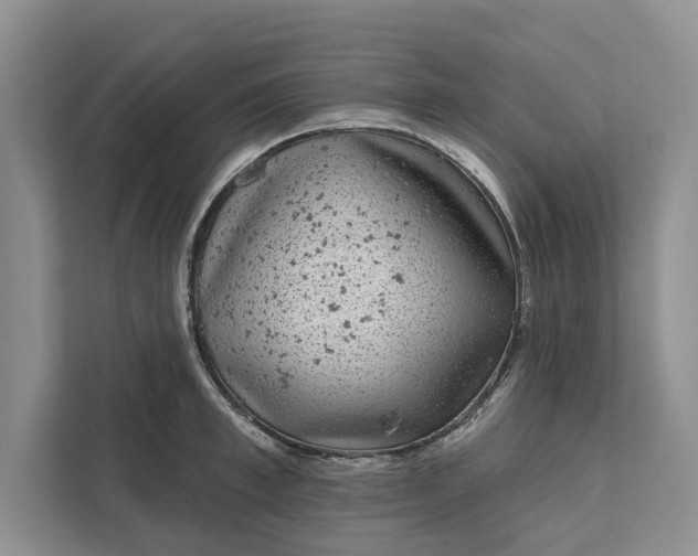 X0000111870997200908061250