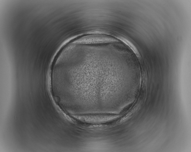 X0000111871000200908061250