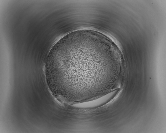 X0000111871001200908061250