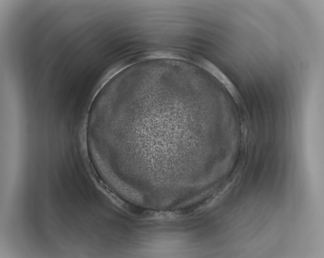 X0000111871002200908061250