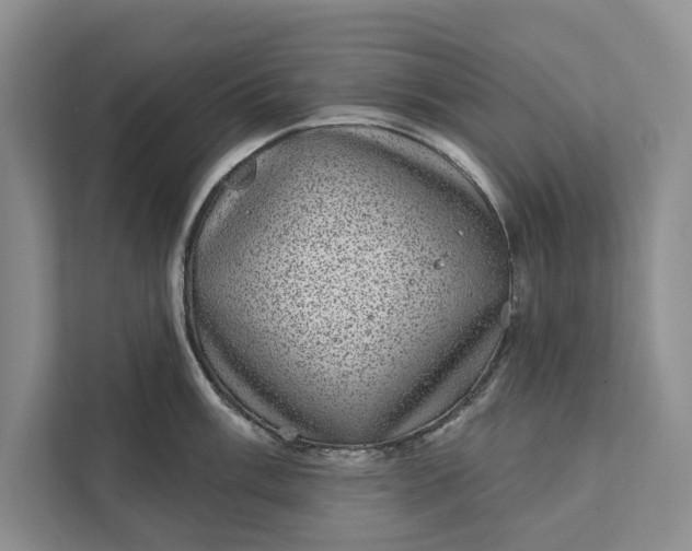 X0000111871003200908061250