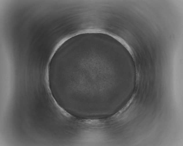 X0000111871006200908061250