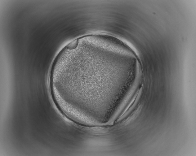 X0000111871007200908061250