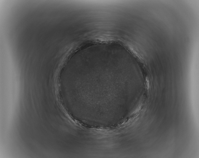 X0000111871009200908061249