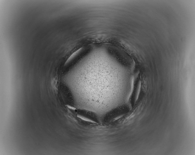 X0000111871010200908061249