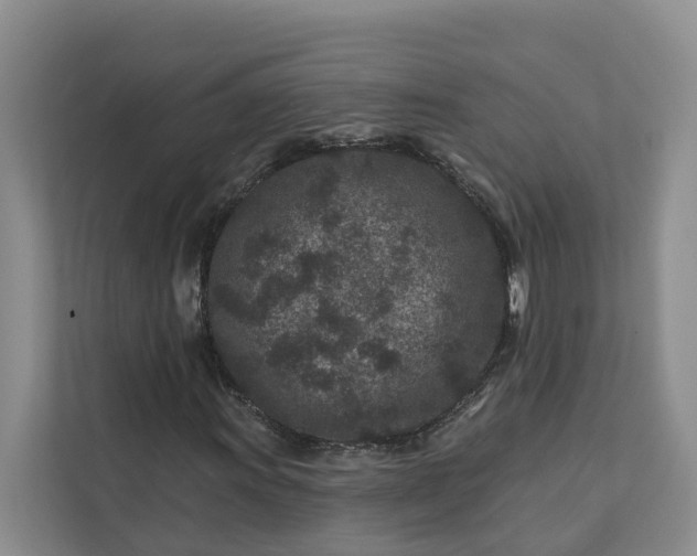 X0000111871011200908061249