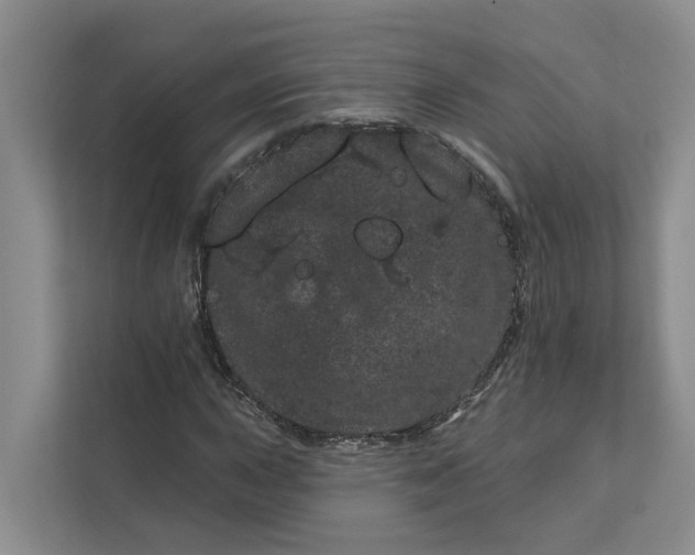 X0000111871015200908061249