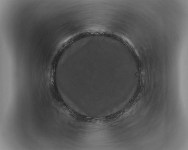 X0000111871016200908061249